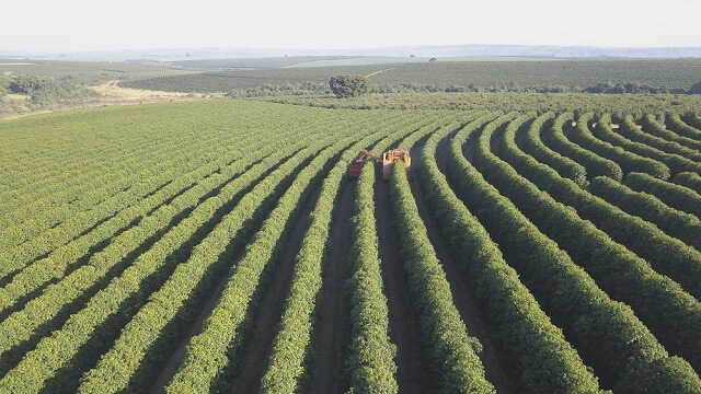 Outono 2025 começa dando adeus às chuvas e ondas de calor