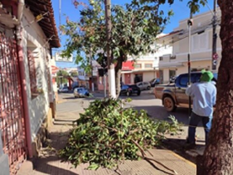 Extintores de incêndio viram adubo em TP