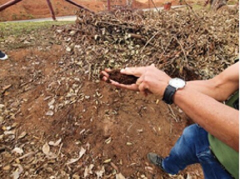 Adubo feito de resíduos de extintores de incêndio