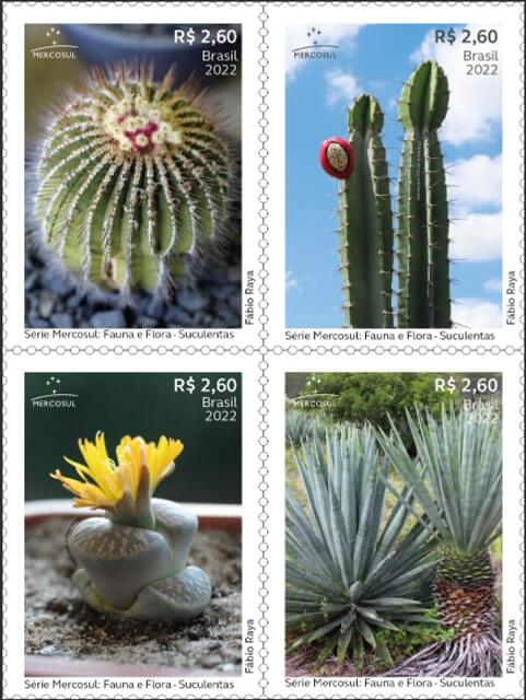 Correios lançam selo em homenagem à flora brasileira = suculentas