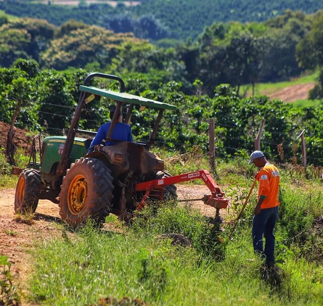 Ação Socioambiental na Serra do Capão Alto é opção de integração à natureza e lazer neste domingo
