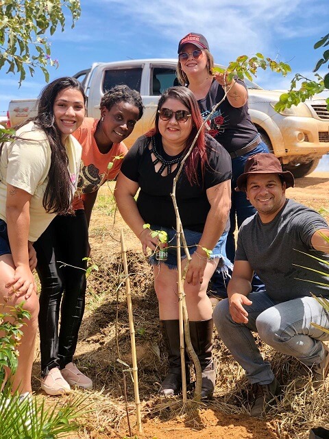 Dia da Terra: Revitalização da Serra do Capão Alto materializa amor pelo planeta