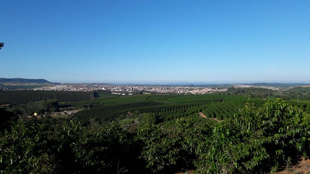 Cocatrel lança projeto inovador de descarbonização na cadeia do café, com expectativa de atrair mais de R$ 1 bilhão em investimentos