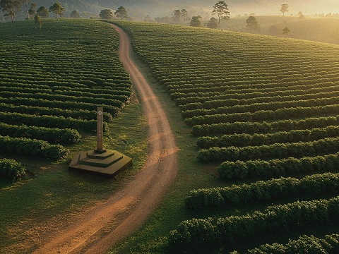 Marco Zero do Circuito Nacional do Café será inaugurado projetando rota histórica para o turismo