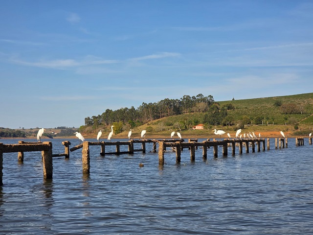 Nível de Furnas ameaça turismo, pesca e revela vestígios do passado