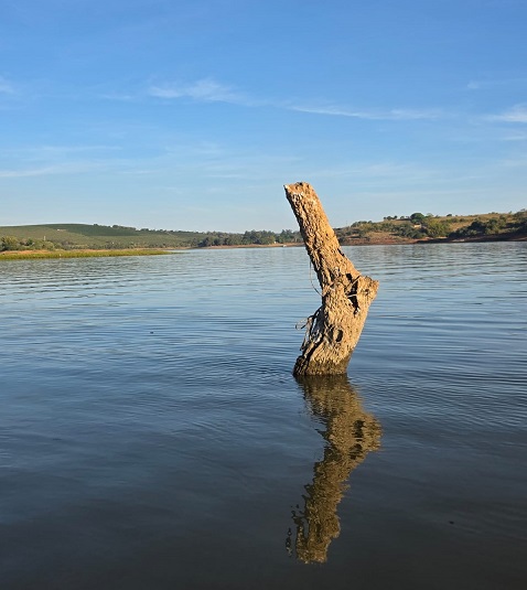 Nível de Furnas ameaça turismo, pesca e revela vestígios do passado