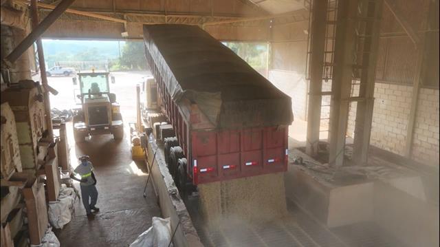 Cocatrel Cereais: com recebimento recorde em 2025, Cooperativa já está preparada para receber a produção na safra 2026