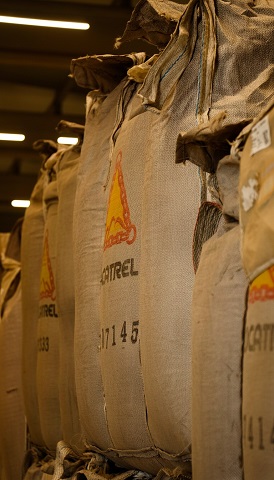 Cocatrel recebe mais de 1.8 milhões de sacas de café no ano 2025