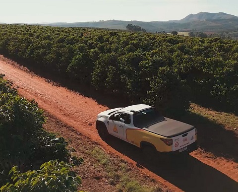 Cocatrel recebe mais de 1.8 milhões de sacas de café no ano 2025