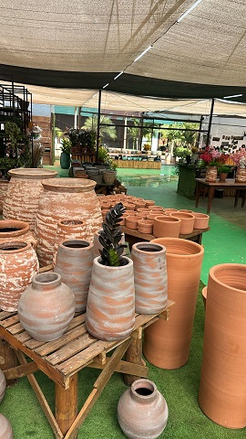 Sarau em Três Pontas celebra o Mês da Mulher com cultura, música e sabores em noite especial para a comunidade