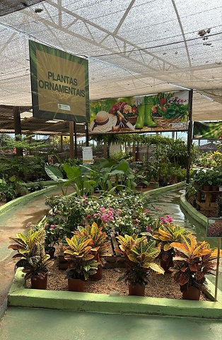 Sarau em Três Pontas celebra o Mês da Mulher com cultura, música e sabores em noite especial para a comunidade