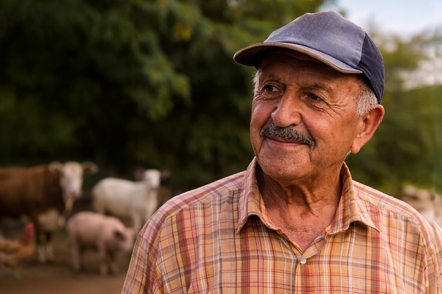 Produtores rurais têm até 30 de junho para atualizar dados dos rebanhos junto ao IMA