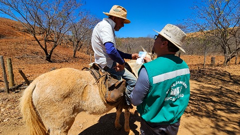 Produtores rurais têm até 30 de junho para atualizar dados dos rebanhos junto ao IMA