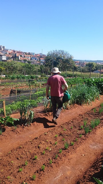 Alimentação saudável fortalece a saúde e transforma vidas: conheça a horta orgânica da Casa de Acolhida Bom Samaritano, em Três Pontas