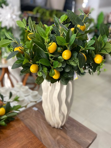 Decoração e bem-estar: como pequenos detalhes podem transformar a casa e a maneira de viver