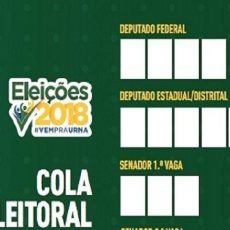 Voto Eleição Cola Eleitor Candidato